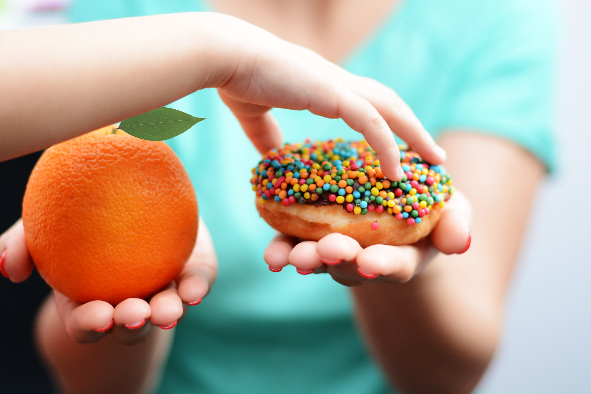 alimentação