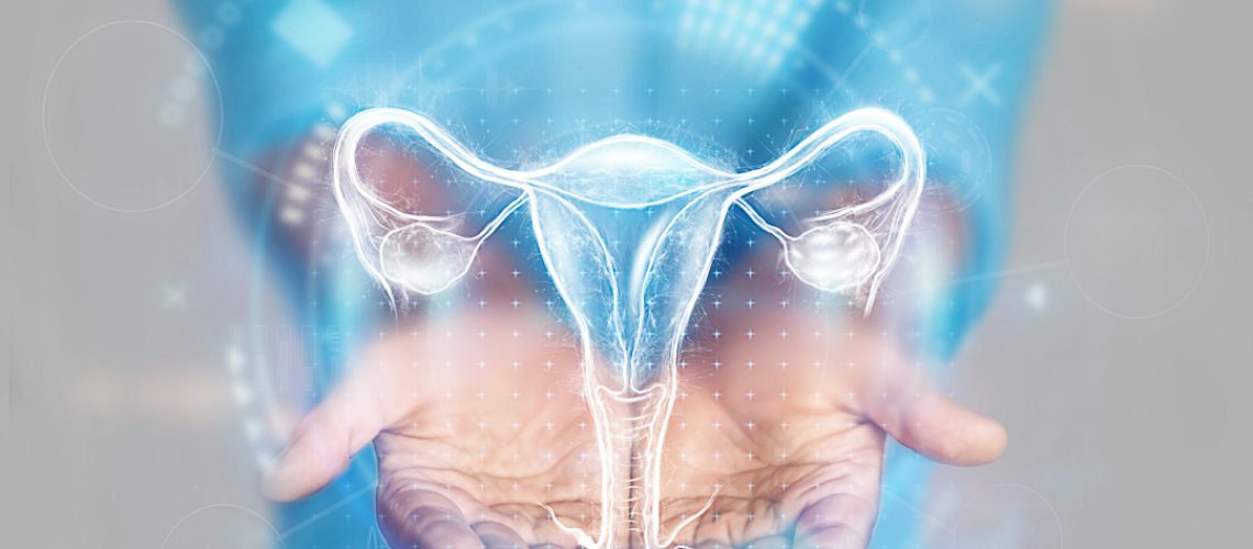 Medical concept, doctor's hands in a blue coat close-up. Ultrasound of the uterus, x-ray, hologram. Medical care, woman anatomy, doctor's appointment, reproductive system. mixed media